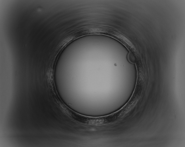 X0000100310793200806190941