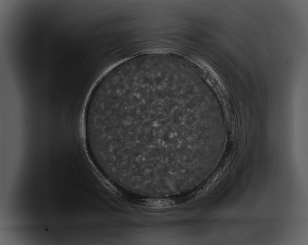 X0000100310795200806190941