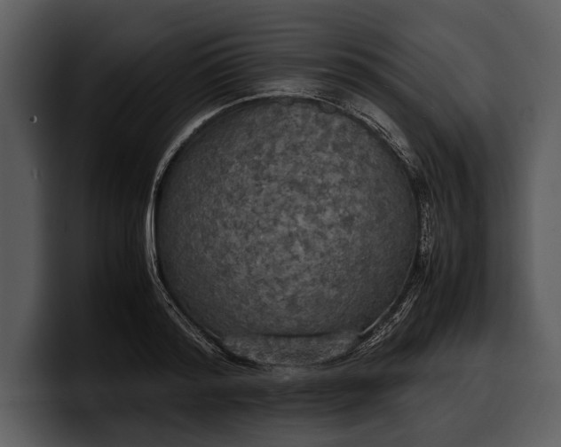 X0000100310796200806190941