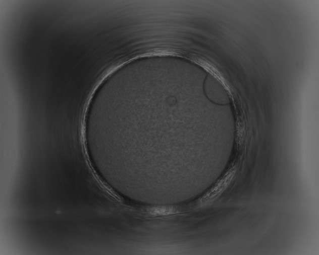 X0000100310797200806190941