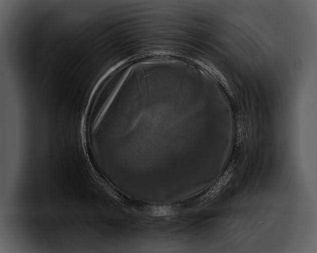X0000100310798200806190941