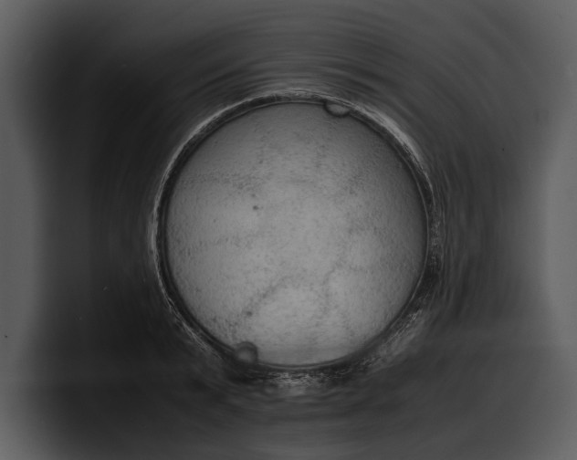 X0000100310799200806190941