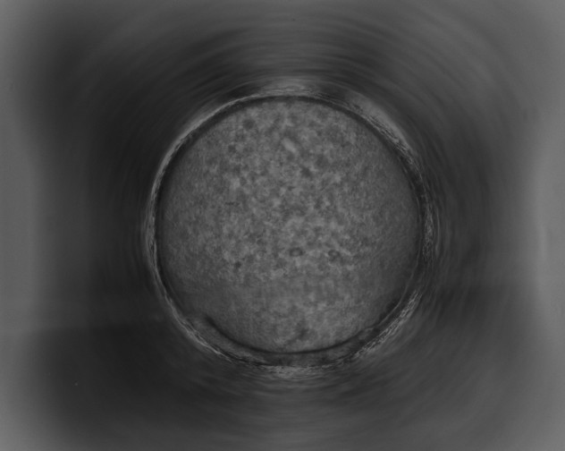 X0000100310800200806190941