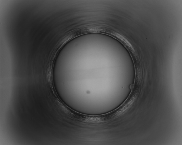 X0000100310801200806190941