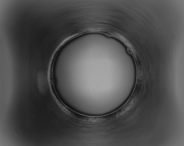 X0000100310803200806190941