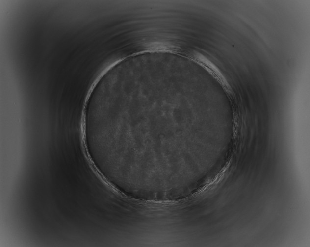 X0000100310804200806190941