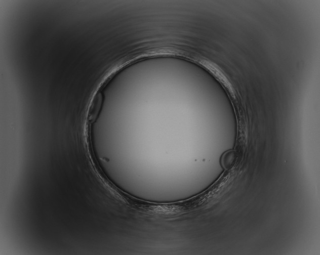 X0000100310805200806190941