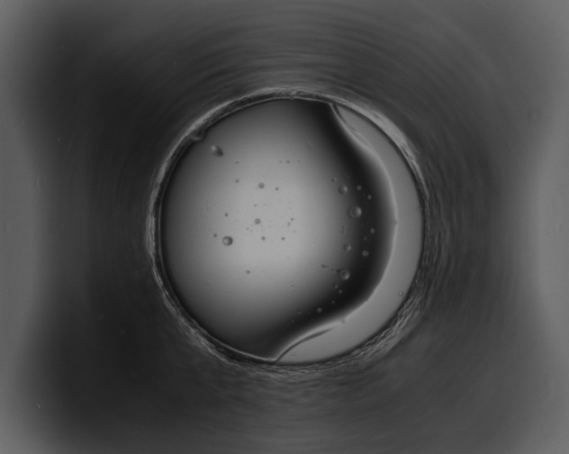 X0000100310807200806190941
