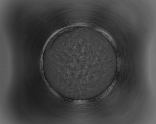 X0000100310808200806190941