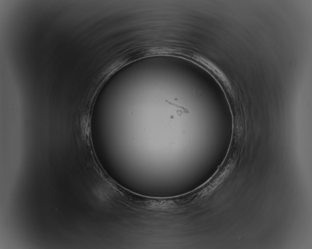 X0000100310809200806190941
