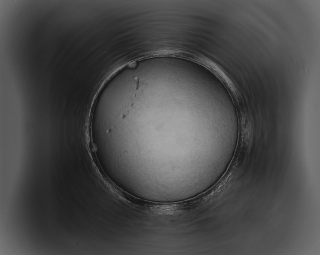 X0000100310810200806190941