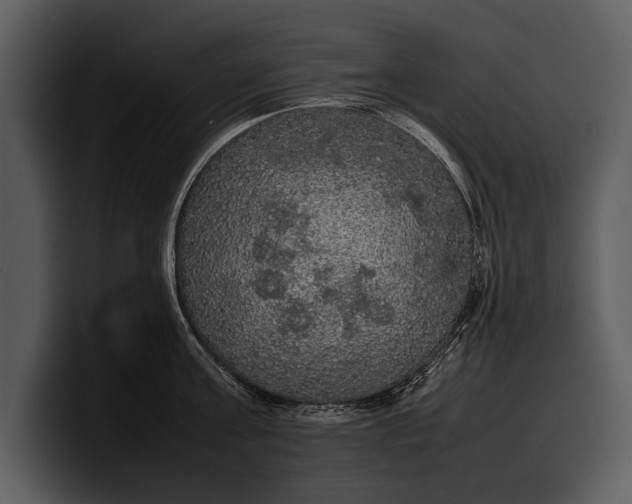 X0000100310811200806190941