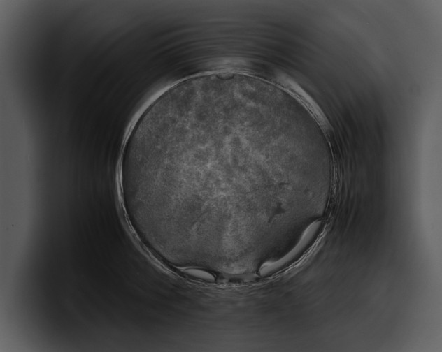 X0000100310812200806190941