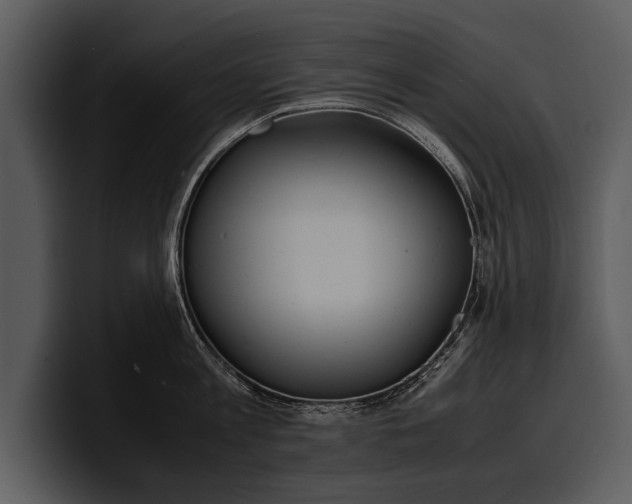 X0000100310813200806190941