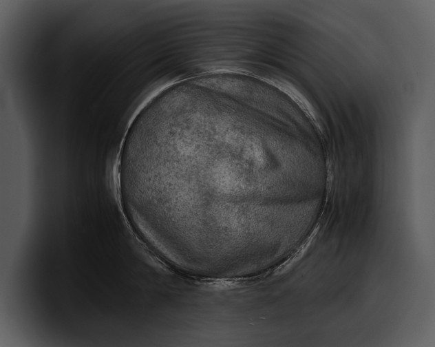 X0000100310814200806190941