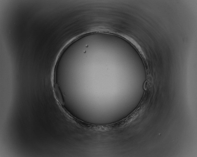 X0000100310815200806190941