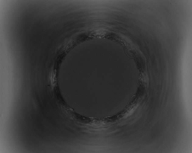 X0000100310818200806190940