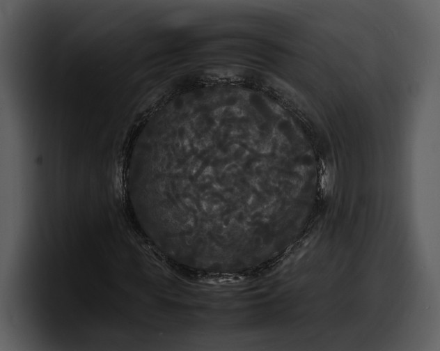 X0000100310819200806190940