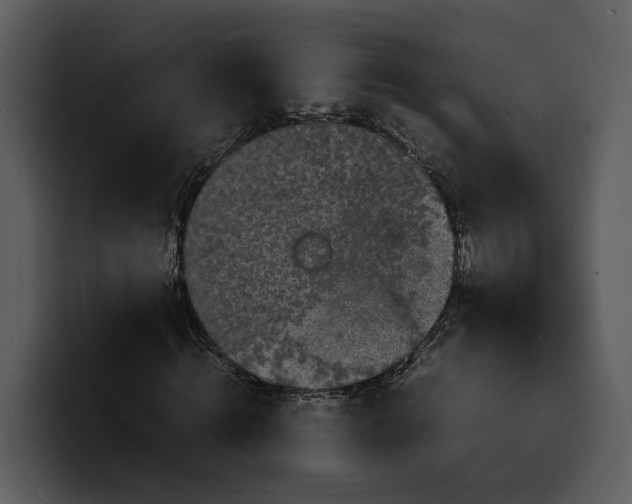 X0000100310820200806190940