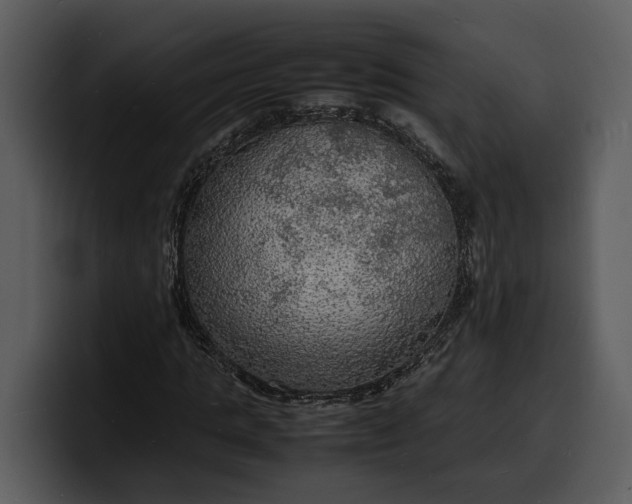 X0000100310821200806190940