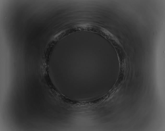 X0000100310822200806190940