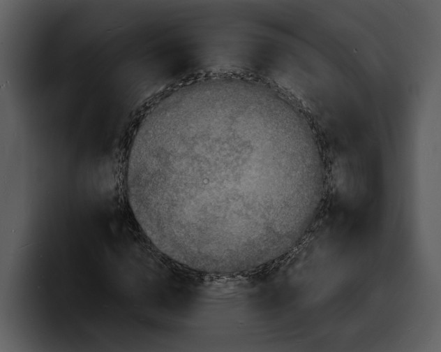 X0000100310824200806190940