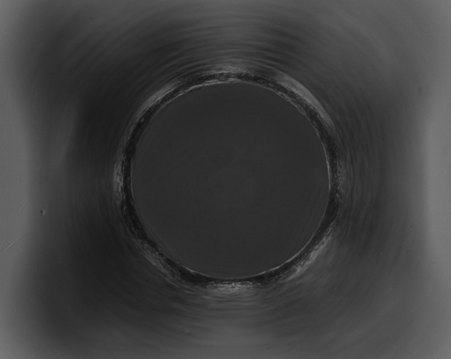 X0000100310826200806190940