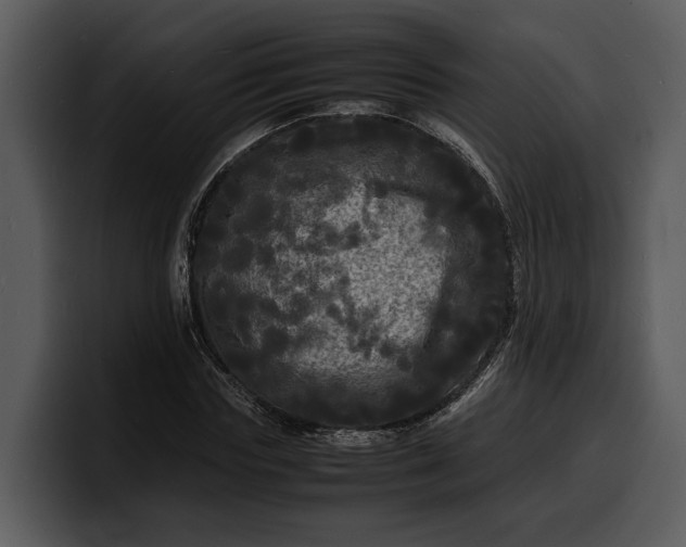 X0000100310827200806190940