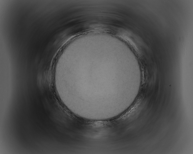 X0000100310828200806190940