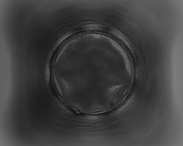 X0000100310829200806190940