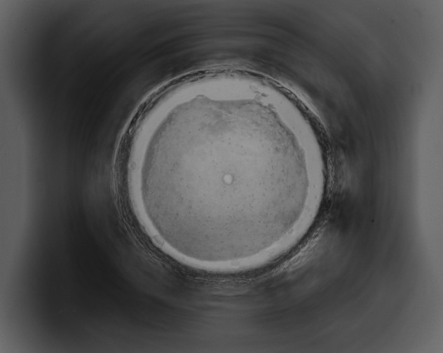 X0000100310832200806190940