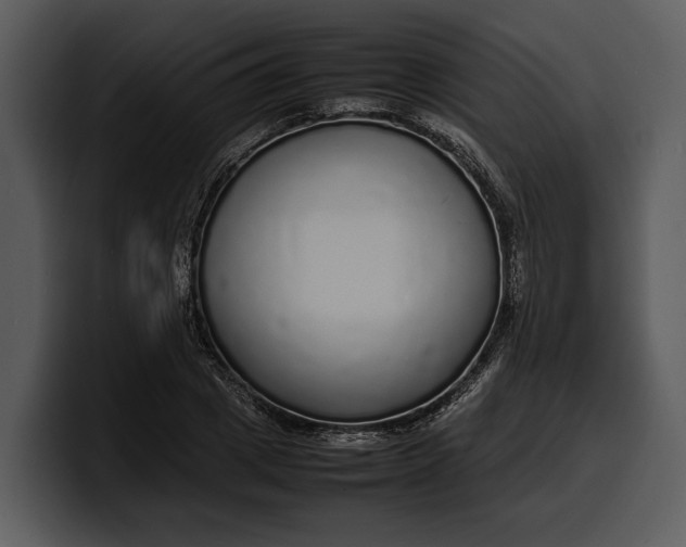 X0000100310833200806190940