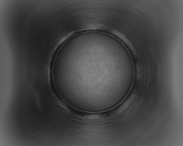 X0000100310834200806190940