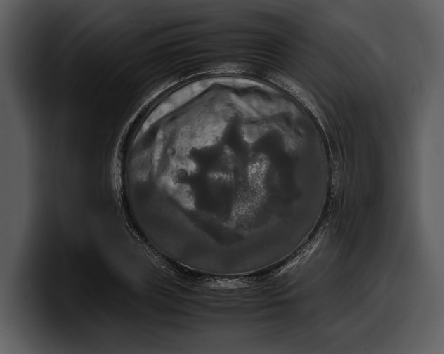 X0000100310835200806190940