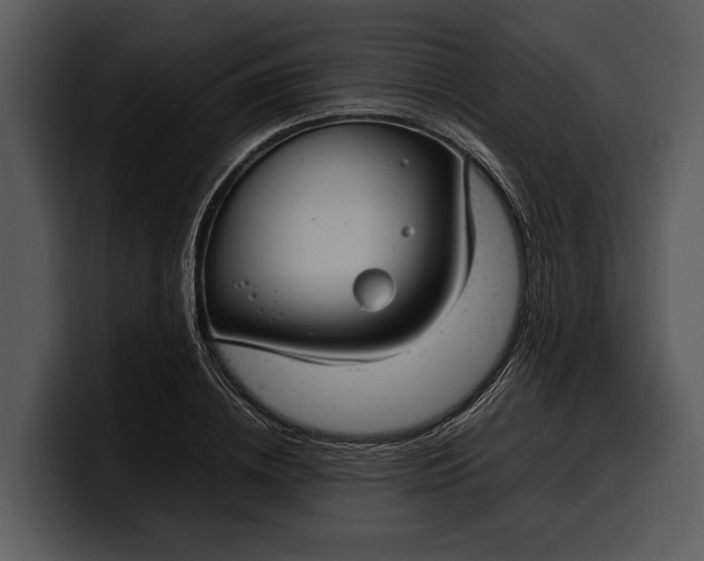 X0000100310836200806190940