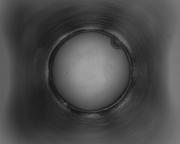 X0000100310837200806190941