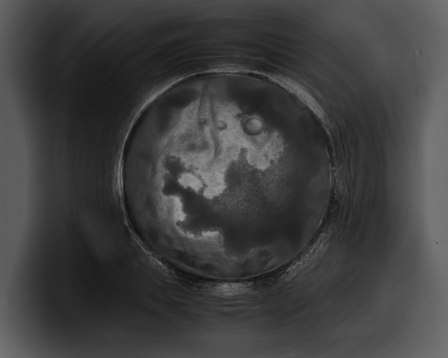 X0000100310839200806190941