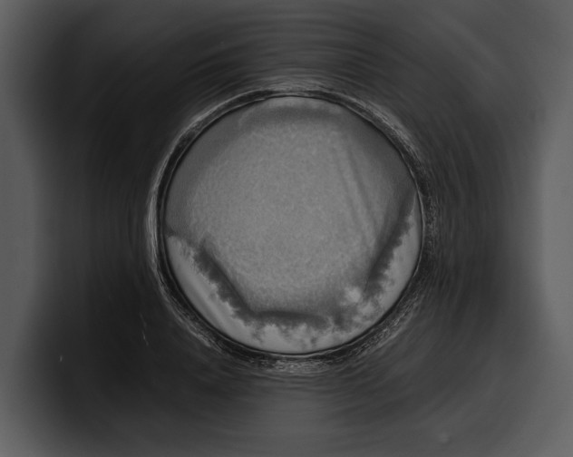 X0000100310840200806190941