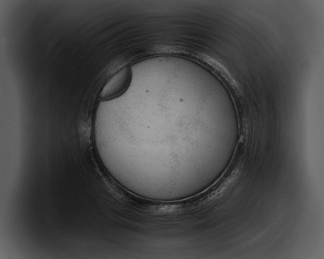X0000100310841200806190941