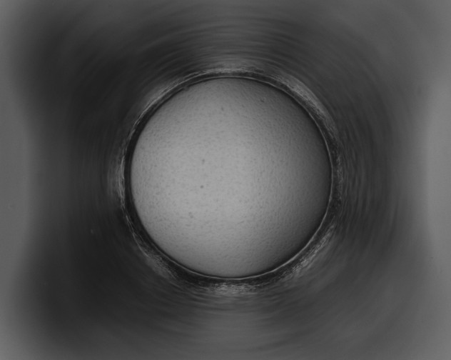 X0000100310842200806190941