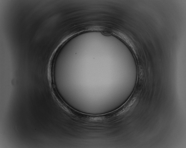 X0000100310843200806190941