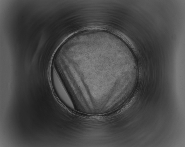 X0000100310844200806190941