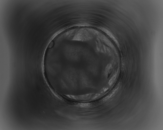 X0000100310845200806190941