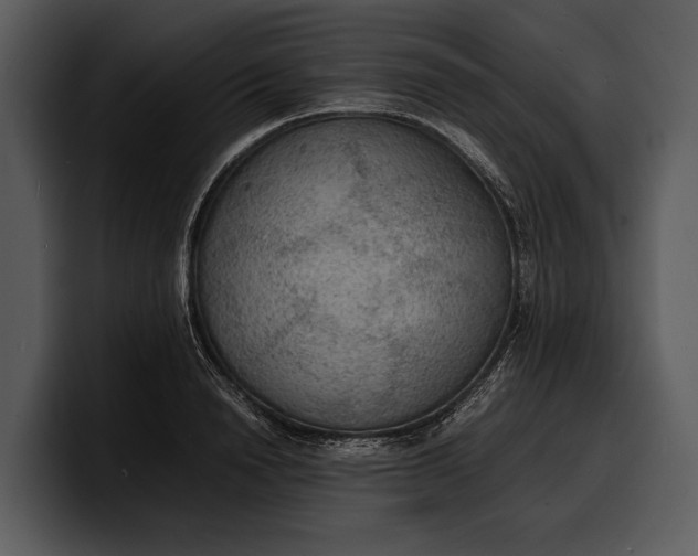 X0000100310846200806190941