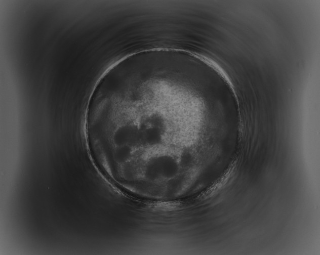 X0000100310847200806190941