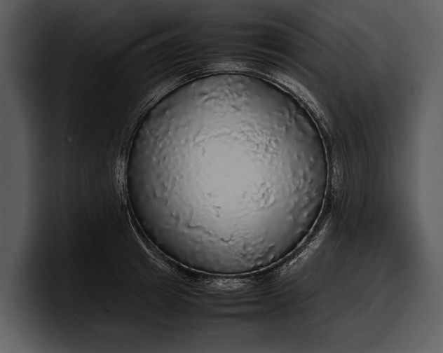 X0000100310849200806190941