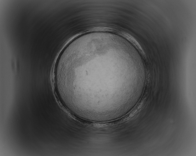 X0000100310852200806190941