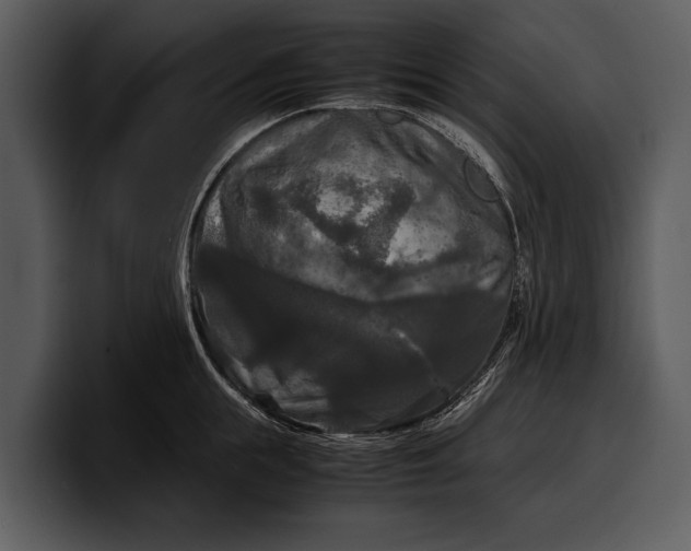 X0000100310855200806190941