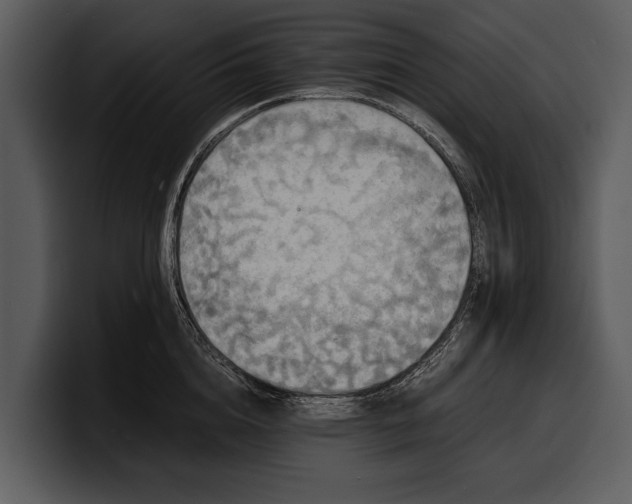 X0000100310856200806190941
