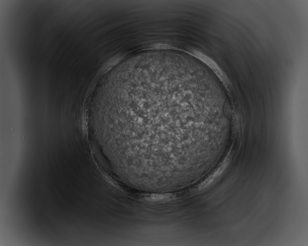 X0000100310857200806190941